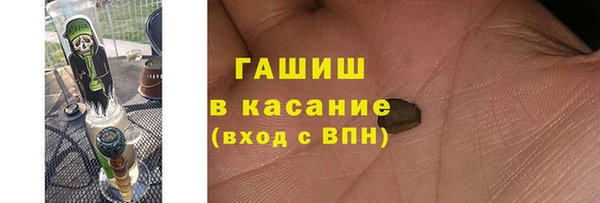 крисы Алзамай