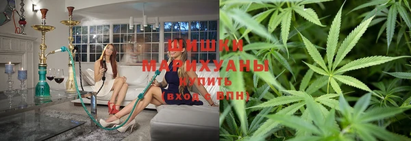 крисы Алзамай